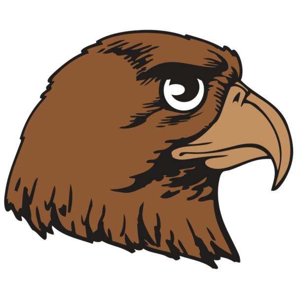 BAW HWK FLCN 05 RC Thumbnail