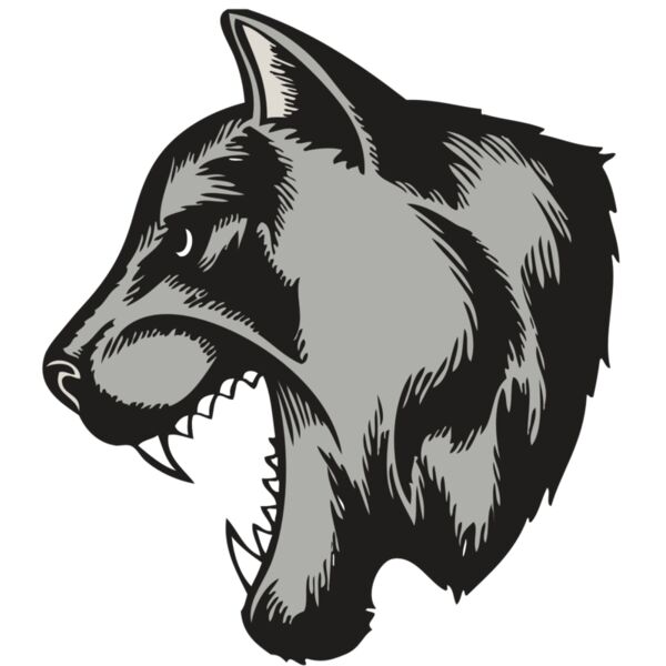 BAW COUG PANTH 06 RC Thumbnail