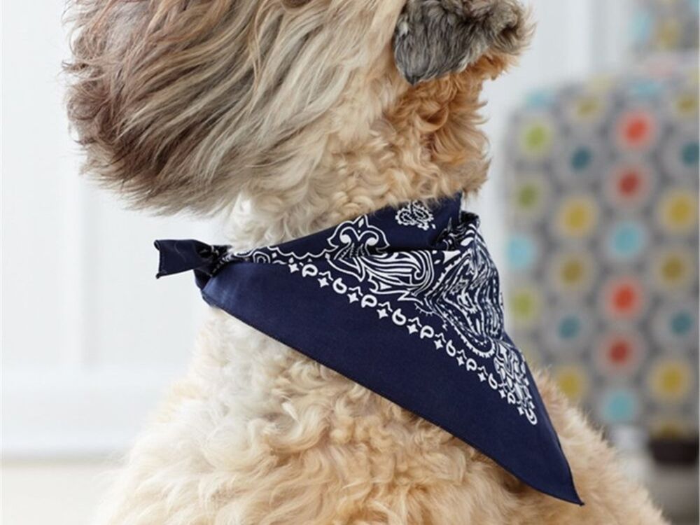 Accessories Thumbnail