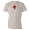 Organic Lightweight T-Shirt Thumbnail