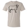 Organic Lightweight T-Shirt Thumbnail