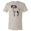 Organic Lightweight T-Shirt Thumbnail