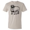 Organic Lightweight T-Shirt Thumbnail