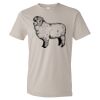 Organic Lightweight T-Shirt Thumbnail