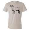 Organic Lightweight T-Shirt Thumbnail