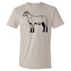 Organic Lightweight T-Shirt Thumbnail