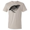 Organic Lightweight T-Shirt Thumbnail