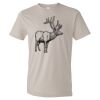 Organic Lightweight T-Shirt Thumbnail