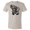 Organic Lightweight T-Shirt Thumbnail