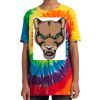 Youth Tie Dye Tee Thumbnail