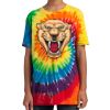 Youth Tie Dye Tee Thumbnail