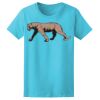 Women’s Midweight T-Shirt Thumbnail