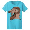 Women’s Midweight T-Shirt Thumbnail