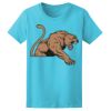Women’s Midweight T-Shirt Thumbnail