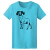 Women’s Midweight T-Shirt Thumbnail