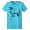 Women’s Midweight T-Shirt Thumbnail
