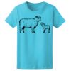 Women’s Midweight T-Shirt Thumbnail