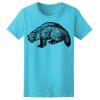 Women’s Midweight T-Shirt Thumbnail