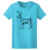 Women’s Midweight T-Shirt Thumbnail