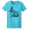Women’s Midweight T-Shirt Thumbnail