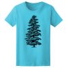 Women’s Midweight T-Shirt Thumbnail