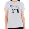 Women’s USA-Made Fine Jersey Tee Thumbnail