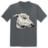 The Concert Tee ® Thumbnail