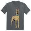 The Concert Tee ® Thumbnail