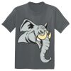 The Concert Tee ® Thumbnail