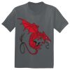 The Concert Tee ® Thumbnail