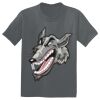 The Concert Tee ® Thumbnail