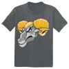 The Concert Tee ® Thumbnail