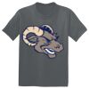 The Concert Tee ® Thumbnail