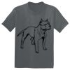 The Concert Tee ® Thumbnail