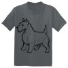 The Concert Tee ® Thumbnail