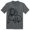 The Concert Tee ® Thumbnail