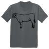 The Concert Tee ® Thumbnail