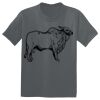The Concert Tee ® Thumbnail