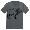 The Concert Tee ® Thumbnail