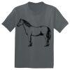 The Concert Tee ® Thumbnail