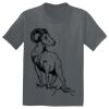 The Concert Tee ® Thumbnail