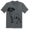 The Concert Tee ® Thumbnail
