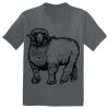 The Concert Tee ® Thumbnail