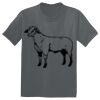 The Concert Tee ® Thumbnail