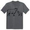 The Concert Tee ® Thumbnail