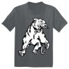 The Concert Tee ® Thumbnail