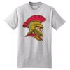 Beefy T ® 100% Cotton T Shirt Thumbnail