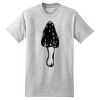 Beefy T ® 100% Cotton T Shirt Thumbnail