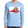 Ultra Cotton ® 100% US Cotton Long Sleeve T Shirt Ultra Cotton ® 100% US Cotton Long Sleeve T Shirt Thumbnail