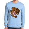 Ultra Cotton ® 100% US Cotton Long Sleeve T Shirt Ultra Cotton ® 100% US Cotton Long Sleeve T Shirt Thumbnail